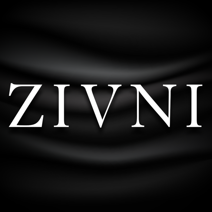  Profile Photos of Zivni Office 103, 1st Floor Khayyam Chambers, Shahrah-e-Faisal, P.E.C.H.S Block 2, 103 - Photo 2 of 2
