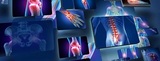 Peak Potential Family Chiropractic - Houston Heights, Houston