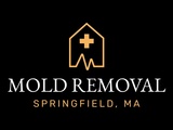Springfield Mold Removal, Springfield