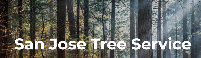  Profile Photos of Tim's Tree Service San Jose 1107 Mastic st. - Photo 1 of 1