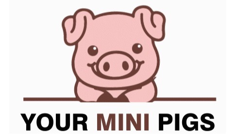  Profile Photos of Your Mini Pigs 41960 Avenida De Anita - Photo 1 of 1