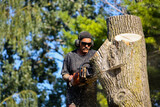  Tree Removal Austin - ATX Tree Pros 730 Wales Way 