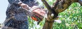  Tree Removal Austin - ATX Tree Pros 730 Wales Way 