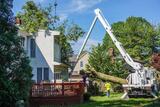 Tree Removal Austin - ATX Tree Pros 730 Wales Way 