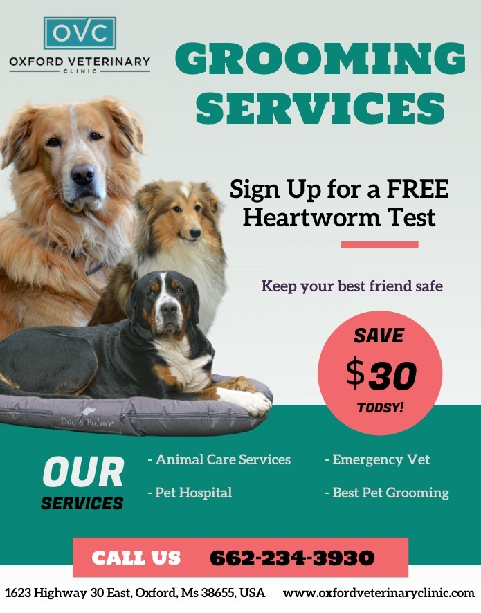  New Album of Oxford Veterinary Clinic 1623 Highway 30 East - Photo 4 of 4