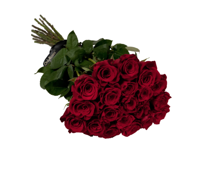  New Album of OnlyRoses 1 Hans Road - Photo 15 of 18