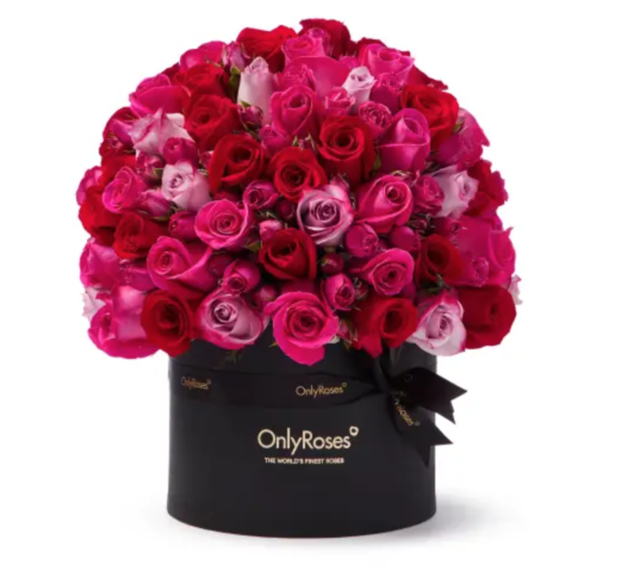  New Album of OnlyRoses 1 Hans Road - Photo 14 of 18