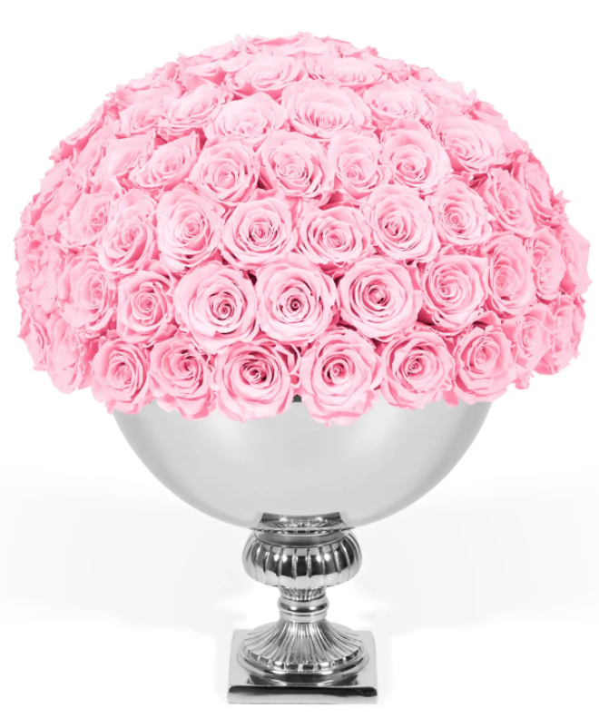  New Album of OnlyRoses 1 Hans Road - Photo 7 of 18