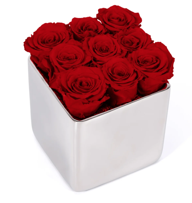  New Album of OnlyRoses 1 Hans Road - Photo 6 of 18