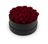 OnlyRoses, London