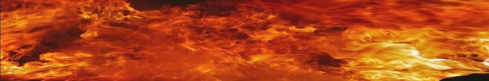  Profile Photos of ACE Fire Protection 666 Morgan Ave - Photo 2 of 7