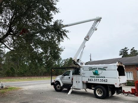  Profile Photos of Planet Green Tree Service 1005 Trident Street - Photo 2 of 4