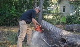 Planet Green Tree Service, Hanahan