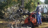 Planet Green Tree Service, Hanahan