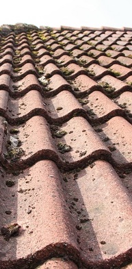  New Album of Roof Cleaning & Moss Removal Canterbury 110 Blean Common, Blean - Photo 21 of 21