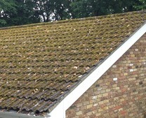  New Album of Roof Cleaning & Moss Removal Canterbury 110 Blean Common, Blean - Photo 19 of 21