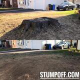 Stump 