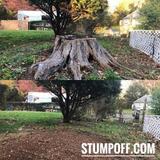 Stump 