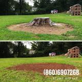 Stump 