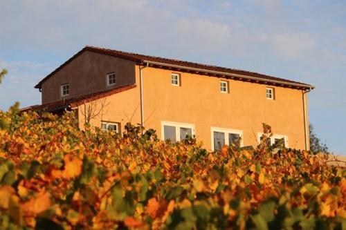  Profile Photos of Fog Crest Vineyard 7606 Occidental Road - Photo 2 of 4