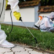  New Album of Diamond Bar Pest Control Pros 980 Looking Glass Dr. - Photo 6 of 9