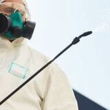 Diamond Bar Pest Control Pros 980 Looking Glass Dr. 