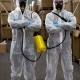  Diamond Bar Pest Control Pros 980 Looking Glass Dr. 