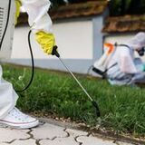  Diamond Bar Pest Control Pros 980 Looking Glass Dr. 