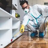  Diamond Bar Pest Control Pros 980 Looking Glass Dr. 
