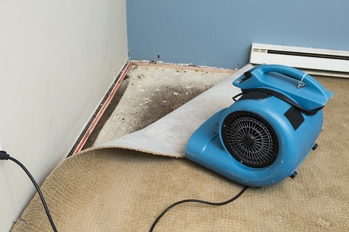  Profile Photos of Flood - Water - Mould Restoration Brisbane | Emergency Damage Restoration 202/192 Ann Street - Photo 2 of 4