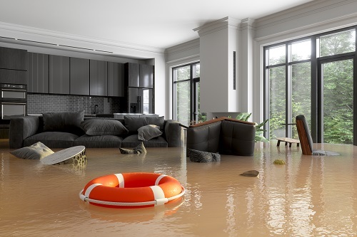  Profile Photos of Flood - Water - Mould Restoration Brisbane | Emergency Damage Restoration 202/192 Ann Street - Photo 3 of 4