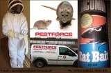  Birmingham pest control | PestForce 83 Croxall Rd Edingale 