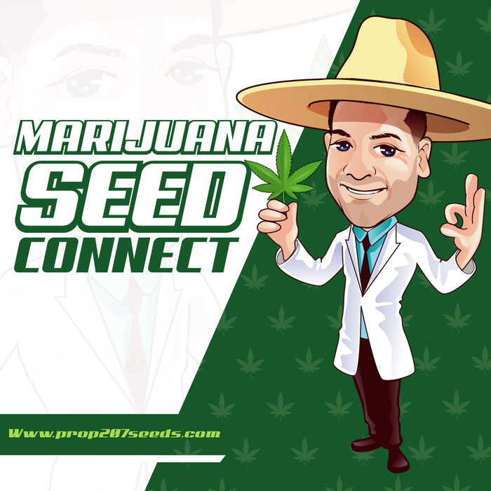  Profile Photos of Marijuana Seed Connect 3030 S Rural Rd #104 - Photo 1 of 1