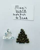  Marijuana Seed Connect 3030 S Rural Rd #104 