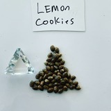  Marijuana Seed Connect 3030 S Rural Rd #104 