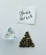  Marijuana Seed Connect 3030 S Rural Rd #104 
