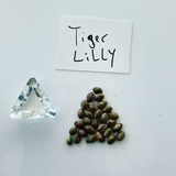  Marijuana Seed Connect 3030 S Rural Rd #104 