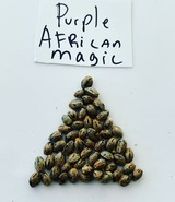  Marijuana Seed Connect 3030 S Rural Rd #104 
