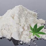 CBDHEMPVENDOR, London