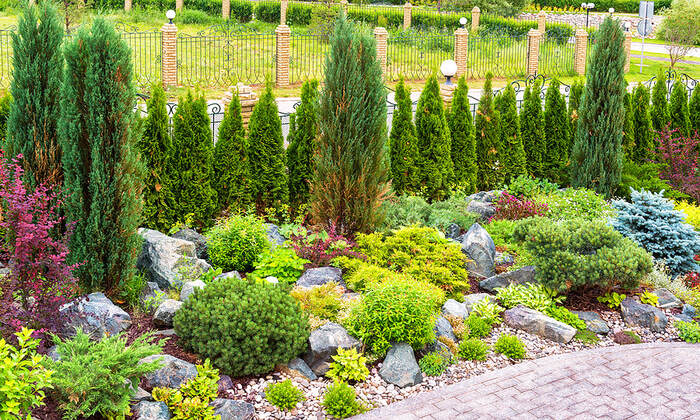 https://valleylandscaping2.weebly.com/landscaping.html New Album of Valley Landscaping 4909 Schmidt St - Photo 6 of 6 https://valleylandscaping2.weebly.com/landscaping.html New Album of Valley Landscaping 4909 Schmidt St - Photo 6 of 6