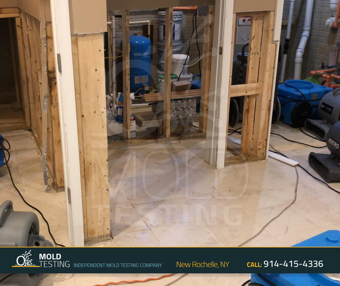  Profile Photos of o2 Mold Testing 2 Stonelea Pl, - Photo 8 of 18