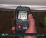  o2 Mold Testing 2 Stonelea Pl, 
