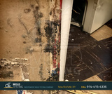  o2 Mold Testing 2 Stonelea Pl, 