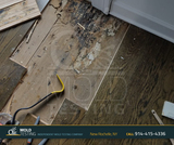  o2 Mold Testing 2 Stonelea Pl, 