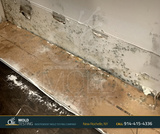  o2 Mold Testing 2 Stonelea Pl, 