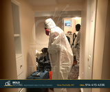  o2 Mold Testing 2 Stonelea Pl, 