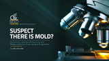  o2 Mold Testing 2 Stonelea Pl, 