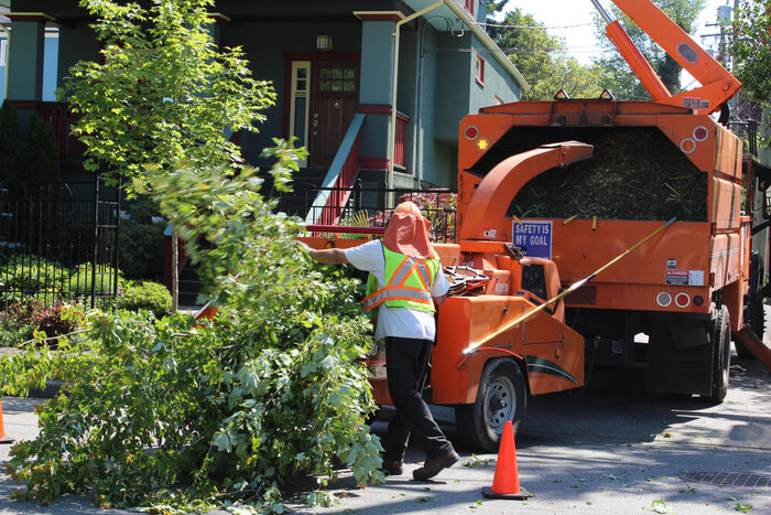  Profile Photos of Big Easy Tree Removal: New Orleans Tree Service & Grinding Company 625 Celeste St, Suite 504-B - Photo 10 of 10