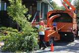 Big Easy Tree Removal: New Orleans Tree Service & Grinding Company, New Orleans