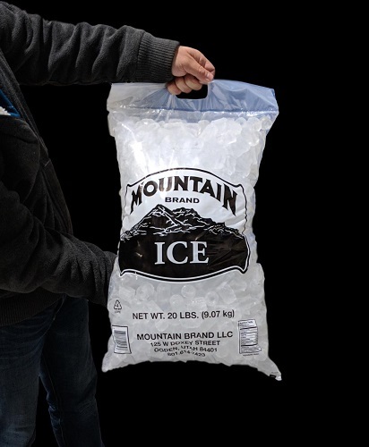  New Album of Mountain Brand Ice 125 West Doxey Street - Photo 2 of 3
